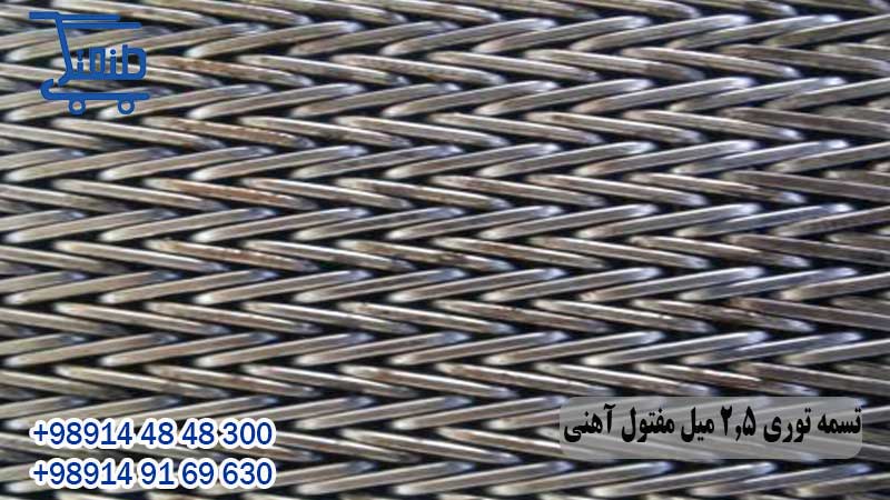 تسمه توری 2.5 میل مفتول آهنی 14 تسمه توری 2.5 میل مفتول آهنی